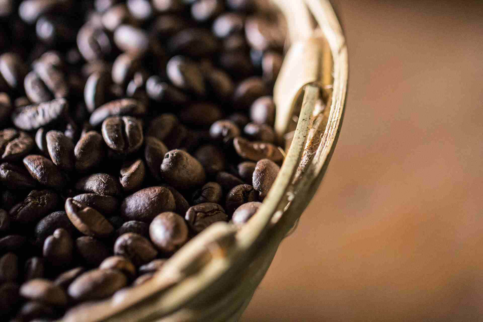 Coffee is grown. Либерика кофе. Африканские кровати для кофе. Кофе Арабика растение. Кофе Арабика Росток.