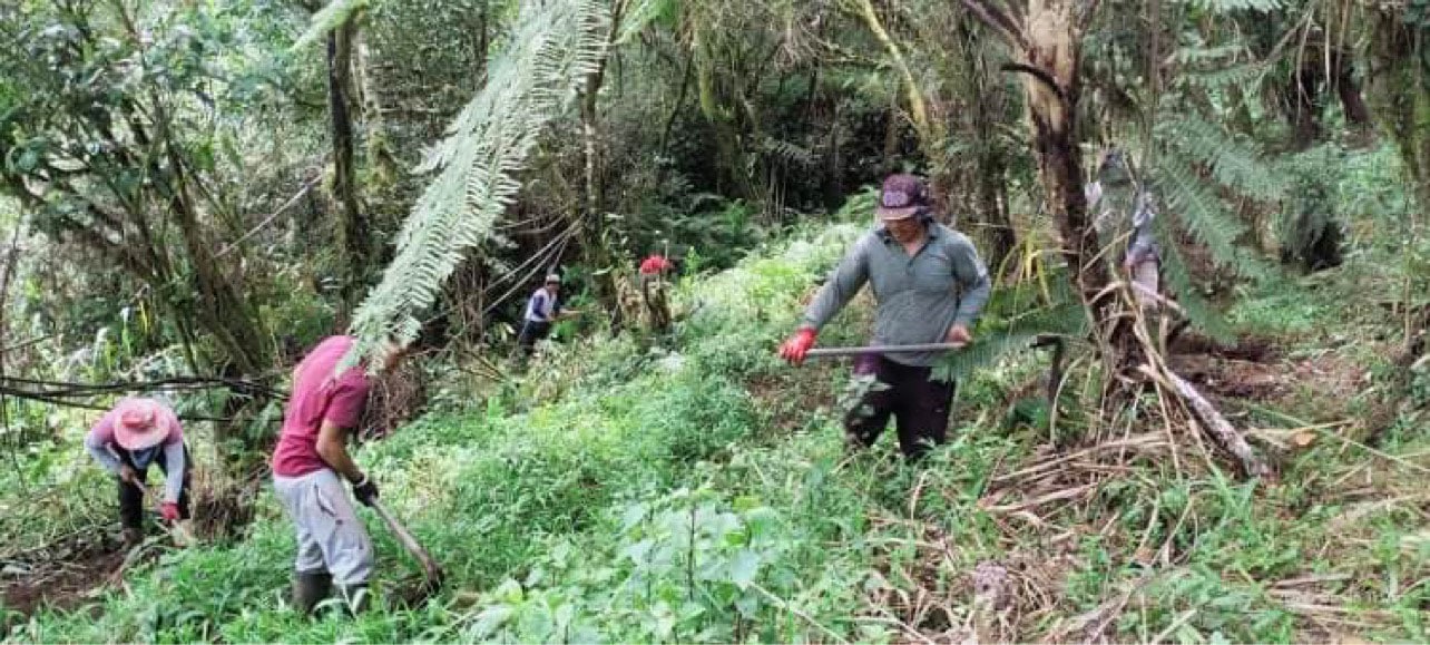 Meet our coffee farmers - Agnep Heritage Farms